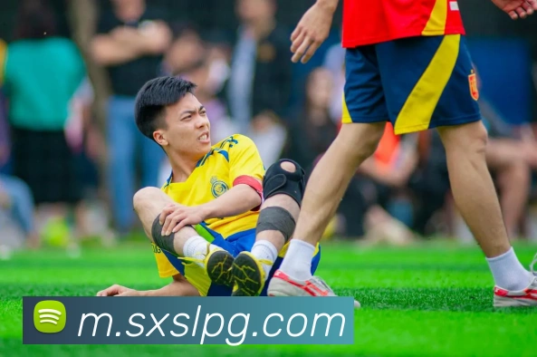 App Interface Preview